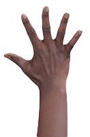 Retopologized 3D Hand scan Adlynn Price Black female